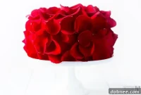 Blushing Rose Cake