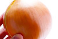 Mastering the Art of Dicing Onions