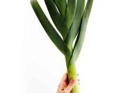 Cut Leeks Like a Pro