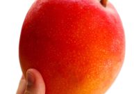 Master the Art of Mango Cutting