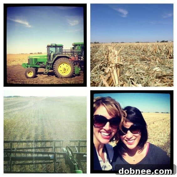Bloggers riding a high-tech John Deere combine during a soybean harvest on an Iowa farm.