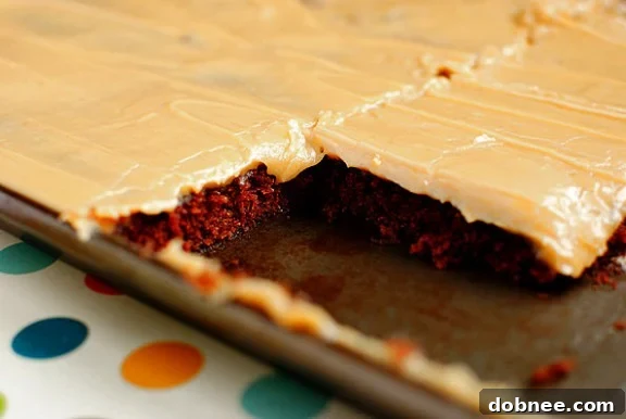 Delicious Chocolate Peanut Butter Sheet Cake topped with creamy peanut butter icing