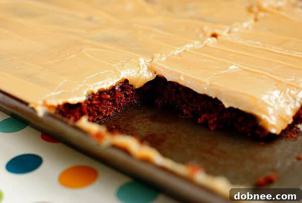 Perfectly baked Chocolate Peanut Butter Sheet Cake with creamy frosting