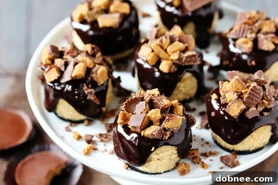 Decadent Reese's Peanut Butter Chocolate Mini Cheesecakes, a top dessert from 2012