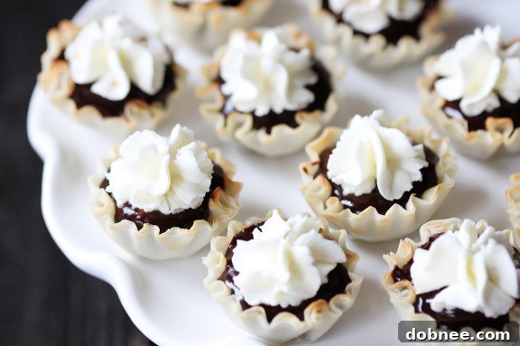 Mexican Spiced Dark Chocolate Tarts - Individual chocolate tarts with cinnamon, chili, and cayenne, topped with whipped cream. Easy and delicious.