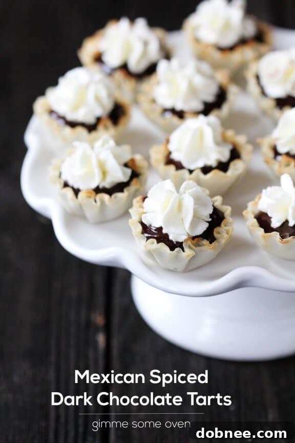 Mexican Spiced Dark Chocolate Tarts - Assorted tarts presented beautifully, ready to be served.