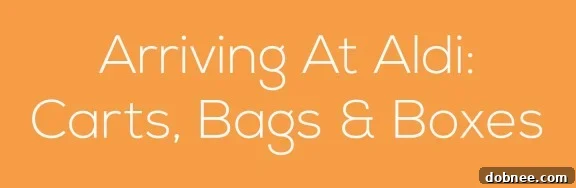 Preparing for Your ALDI Visit: Carts, Bags, and Boxes Explained