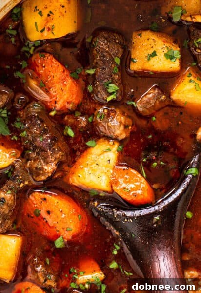 Guinness Beef Stew Closeup in a bowl with spoon