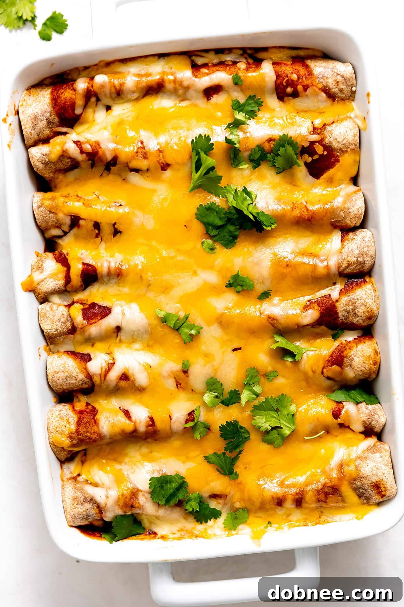 This Tex-Mex-inspired roasted vegetable enchiladas recipe is easy to customize with your choice of veggies, beans, cheese. Always a delicious vegetarian dinner recipe! | gimmesomeoven.com Delicious Roasted Vegetable Enchiladas baked to cheesy perfection