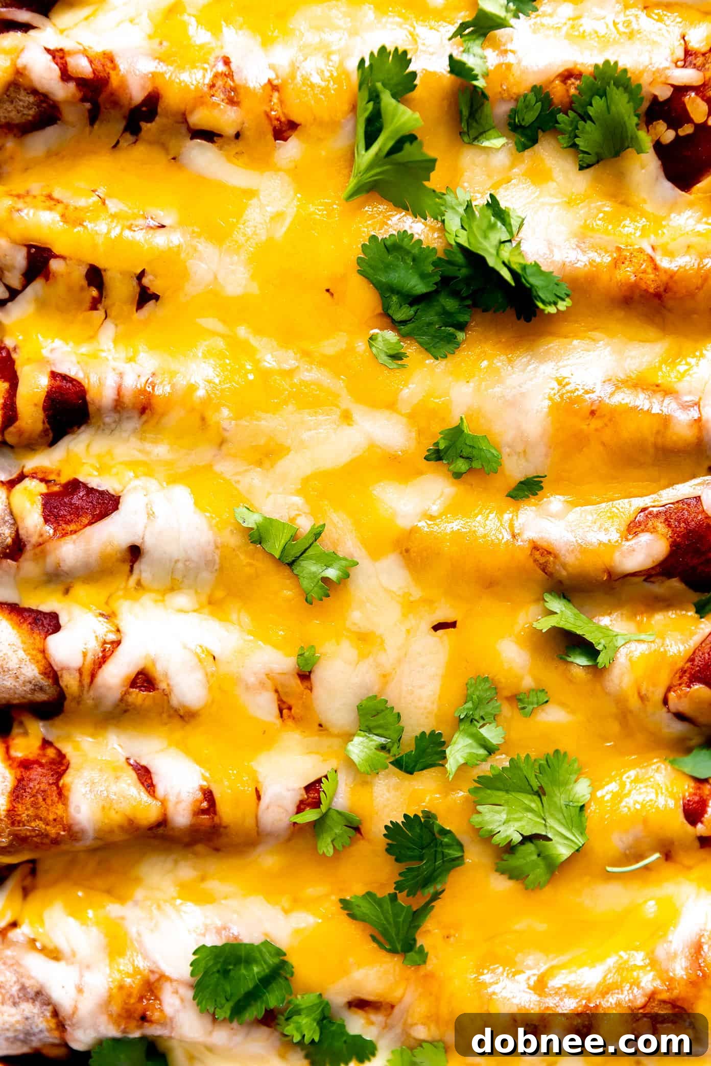 This Tex-Mex-inspired roasted vegetable enchiladas recipe is easy to customize with your choice of veggies, beans, cheese. Always a delicious vegetarian dinner recipe! | gimmesomeoven.com Close-up of a serving of Vegetarian Enchiladas topped with fresh cilantro