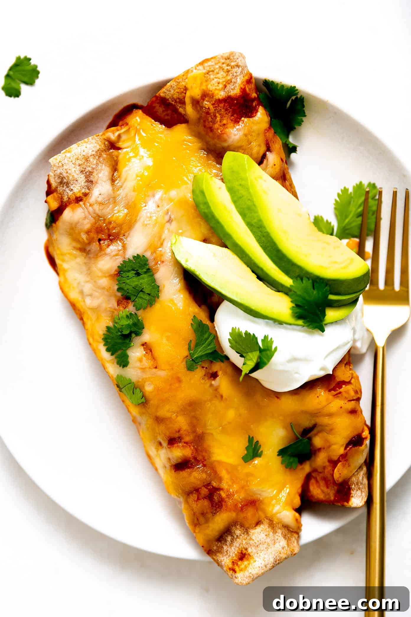 This Tex-Mex-inspired roasted vegetable enchiladas recipe is easy to customize with your choice of veggies, beans, cheese. Always a delicious vegetarian dinner recipe! | gimmesomeoven.com Vegetarian Enchiladas with Avocado on Plate