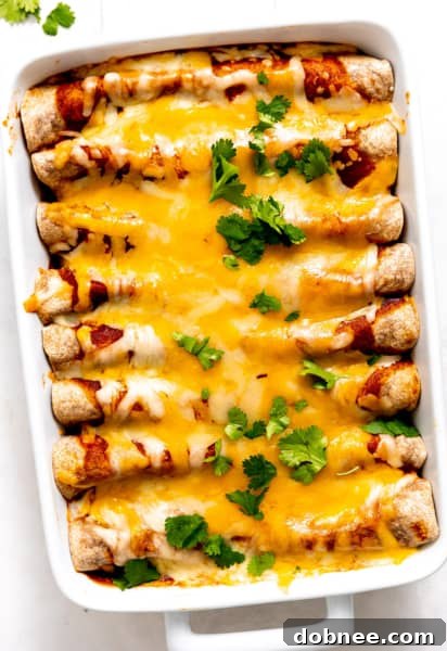 Roasted Vegetable Enchiladas