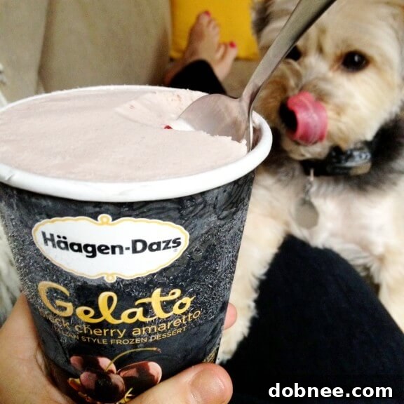 Haagen-Dazs gelato delivered with dry ice for a sweet moment