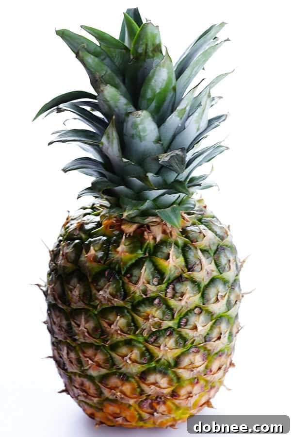 Tropical Pineapple Margaritas 3 Close-up of Fresh Pineapple Margarita with lime and salt