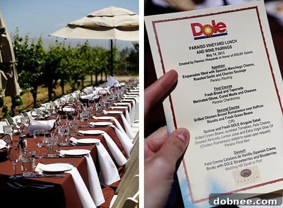 Outdoor dining experience under the California sun