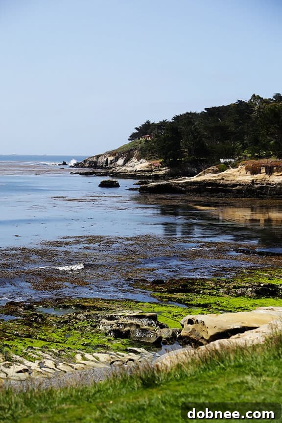 Breathtaking coastal views from 17-Mile Drive