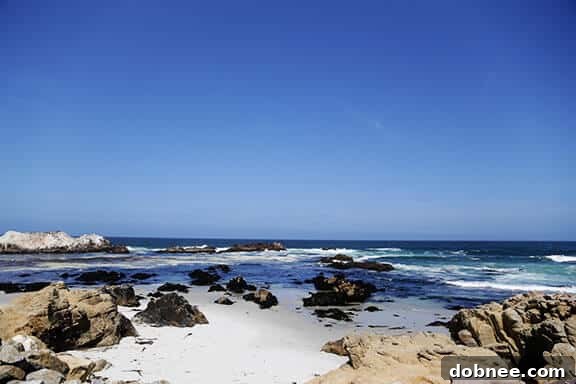 The stunning, expansive Pacific Ocean