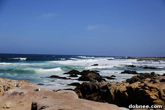 A beautiful ending to the Dole Salad Summit trip