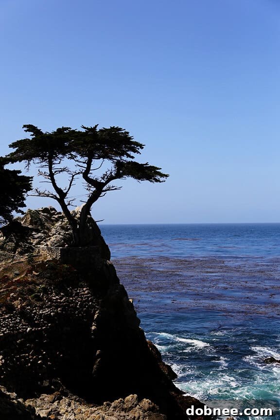 Group photo of the bloggers at the Dole Salad Summit