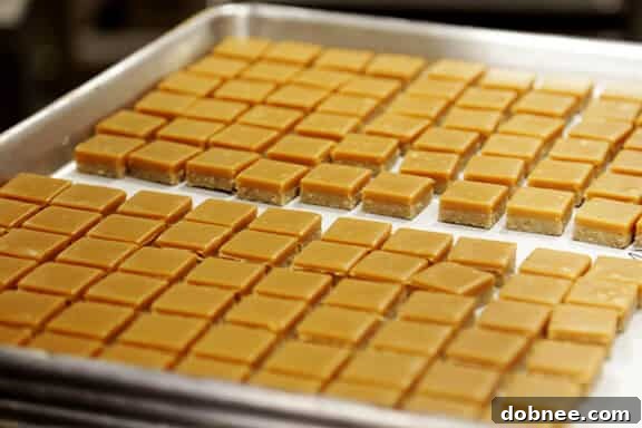 Screen-Printed Chocolate Production