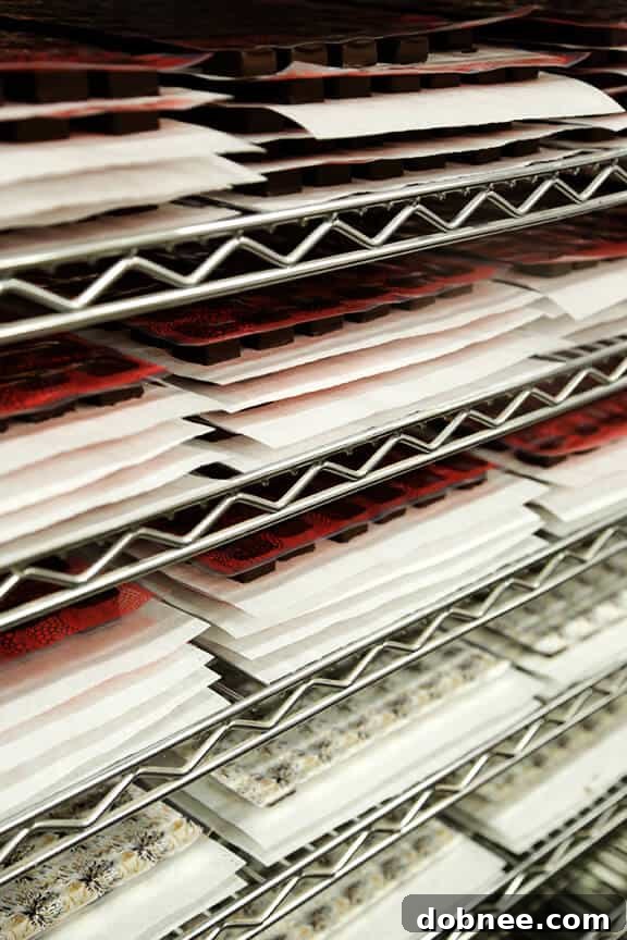 Display of Intricate Chocolate Designs