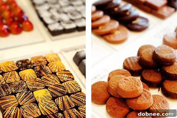 A Glimpse of the Diverse Chocolate Selection