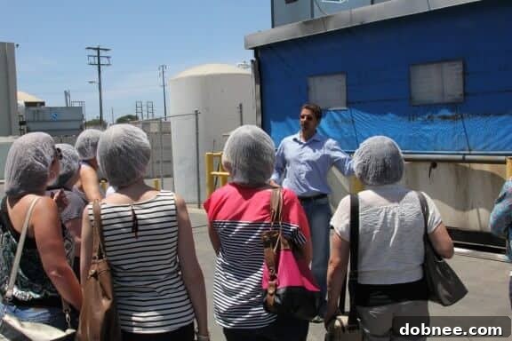 Workers at an avocado packing plant sorting fresh fruit