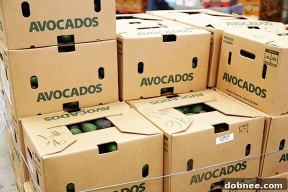 Crates of fresh California avocados ready for distribution