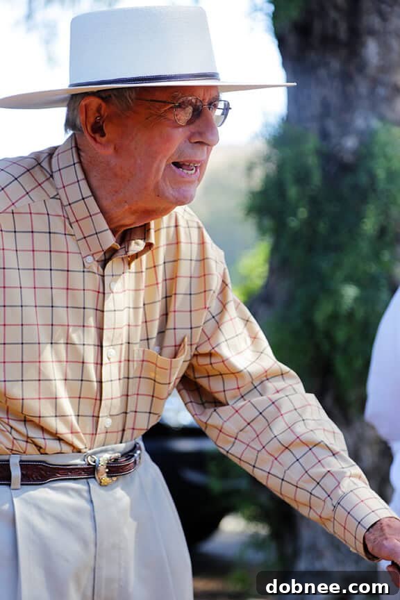 Avocado workers carefully harvesting fruit by hand from tall trees