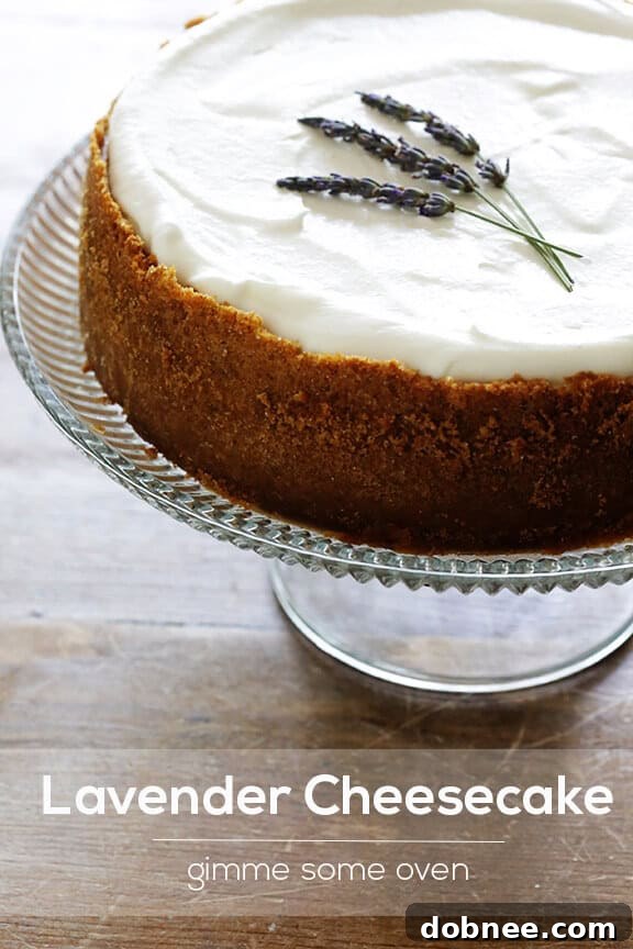 Gourmet Lavender Cheesecake Dessert