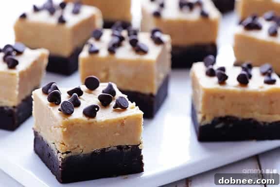 Rich Peanut Butter Fudge Brownies topped with chocolate chips