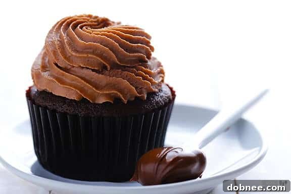 Decadent Nutella Cupcakes 2 Delicious Nutella Cupcakes with Creamy Frosting
