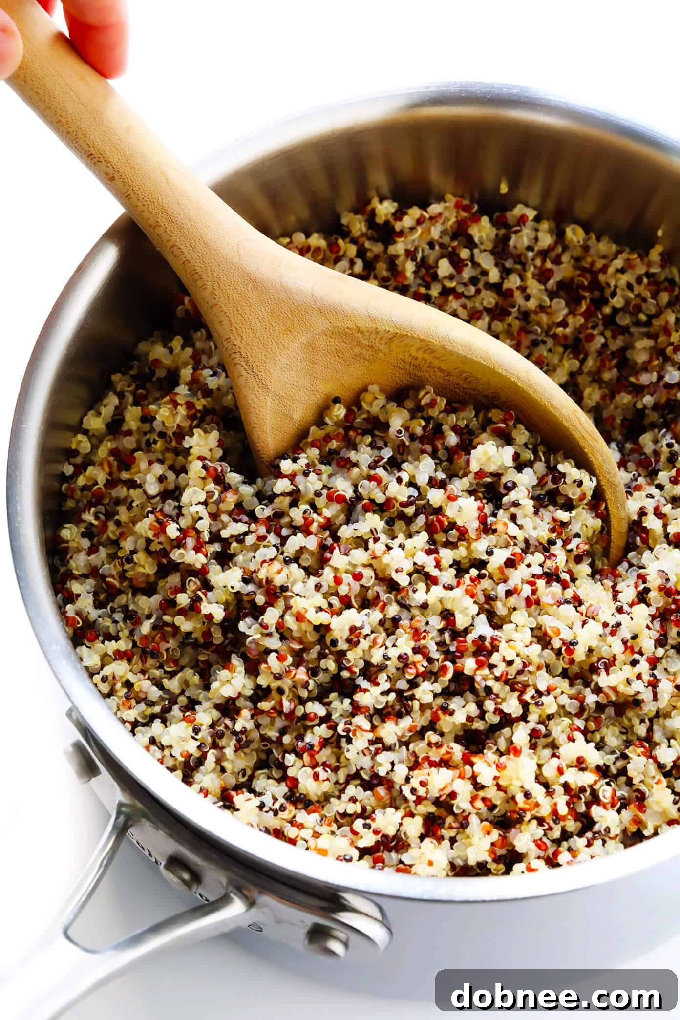 How To Cook Quinoa