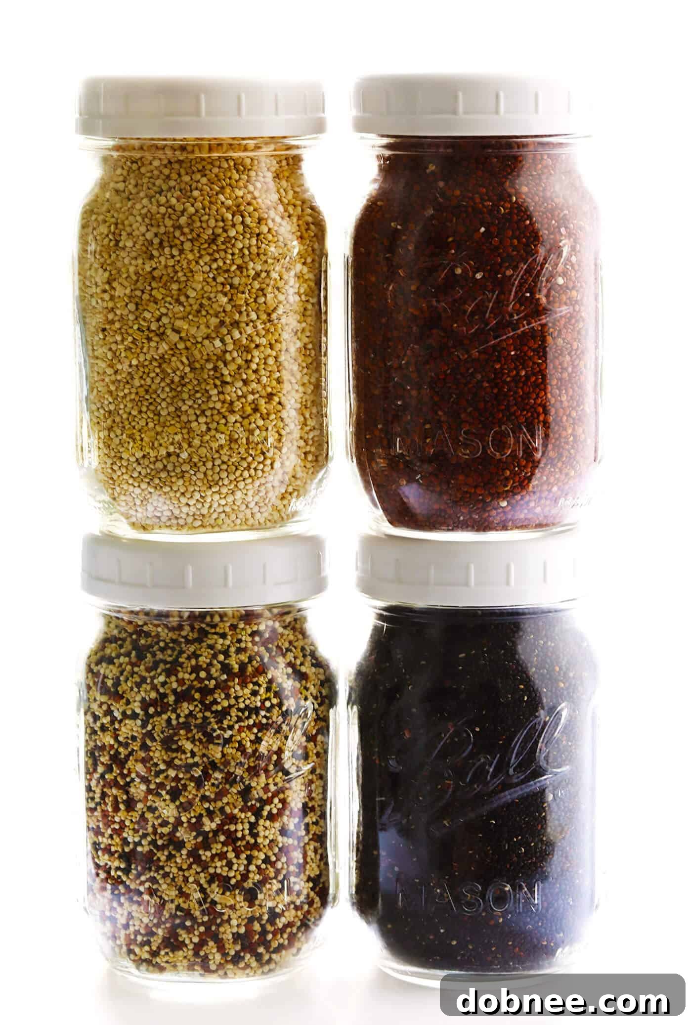 Different Colors Of Quinoa -- White (Pearl), Red, Black and Tri-Color Quinoa
