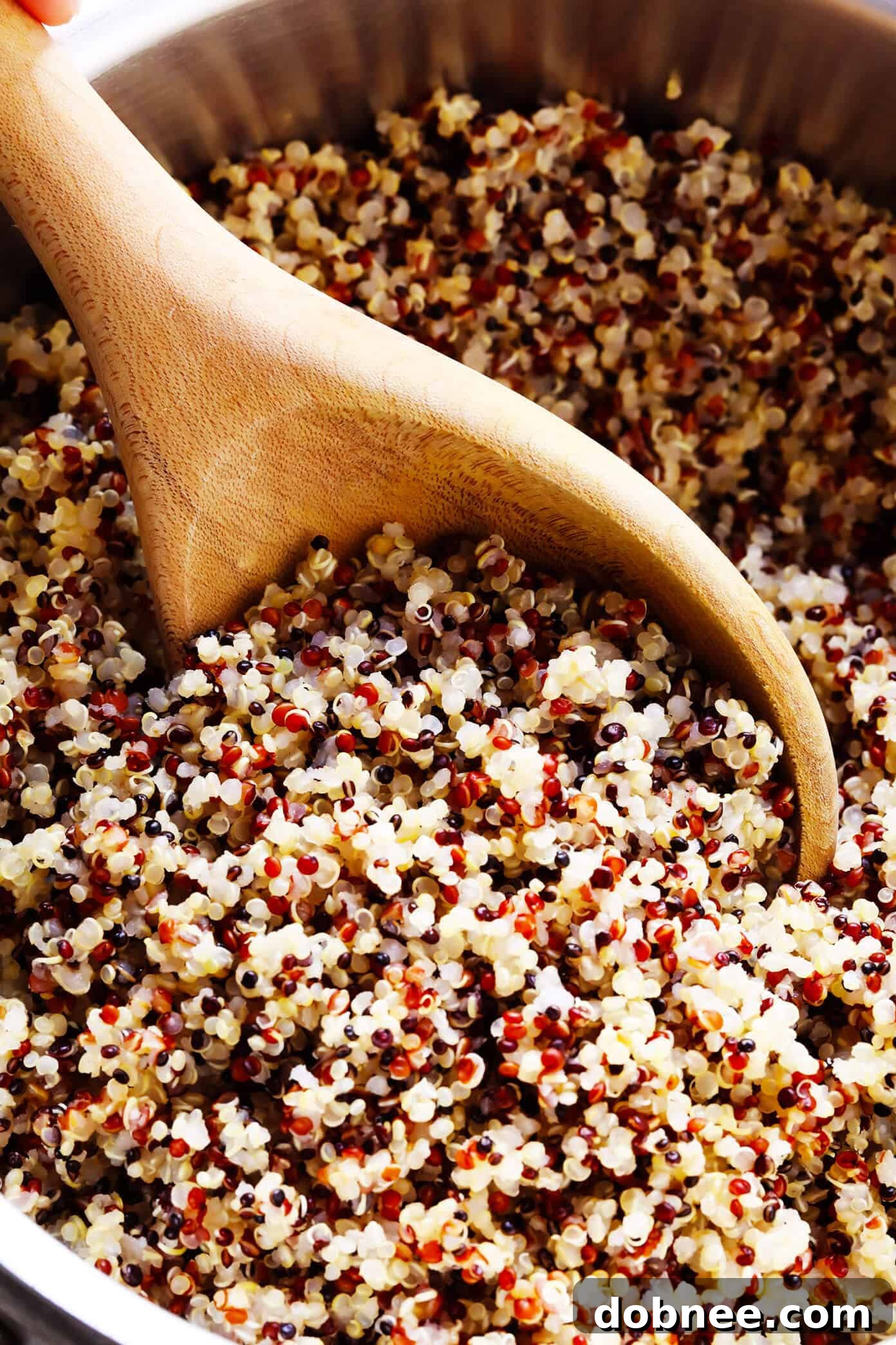 How To Cook Quinoa Perfectly