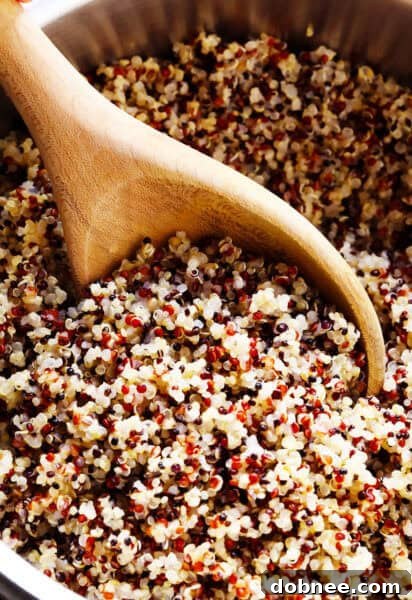 How To Cook Quinoa
