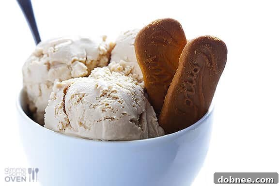 Delicious Biscoff Ice Cream swirl