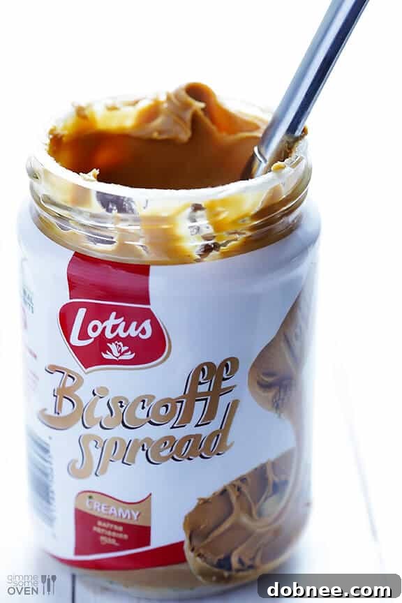 Close-up of Biscoff Ice Cream in a bowl