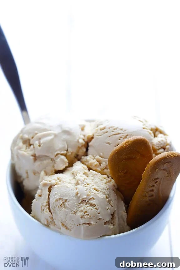 Another view of Biscoff Ice Cream
