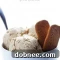 Biscoff Ice Cream in a bowl with a spoon