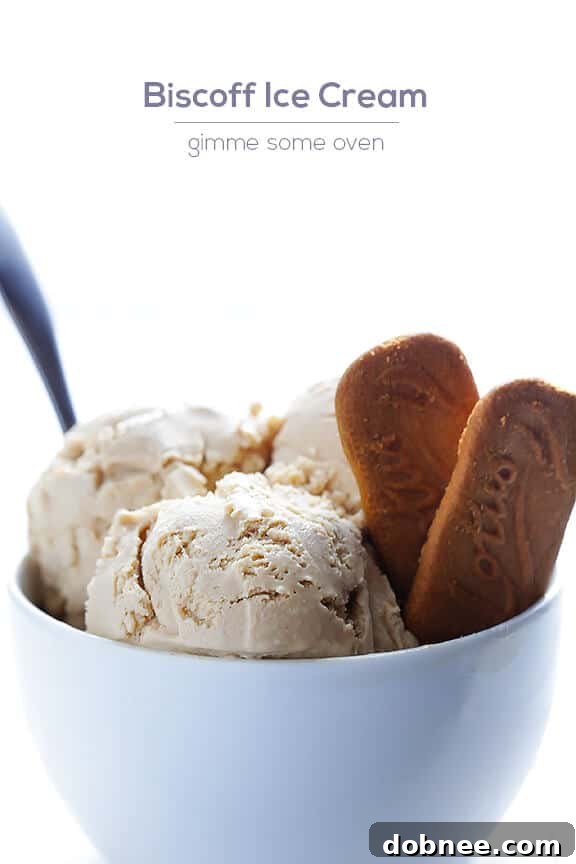Finished Biscoff Ice Cream ready to be served