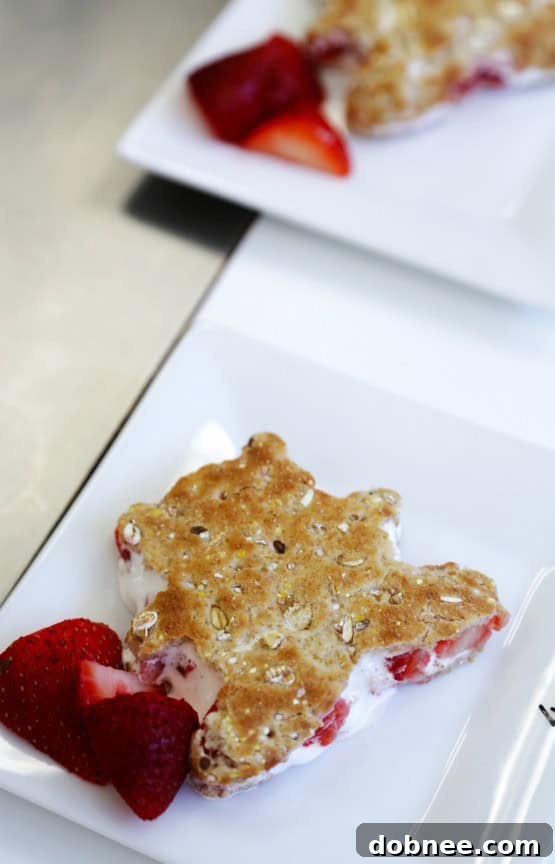 Blogger Creations: Fun and Creative Kid-Friendly Sandwiches | gimmesomeoven.com