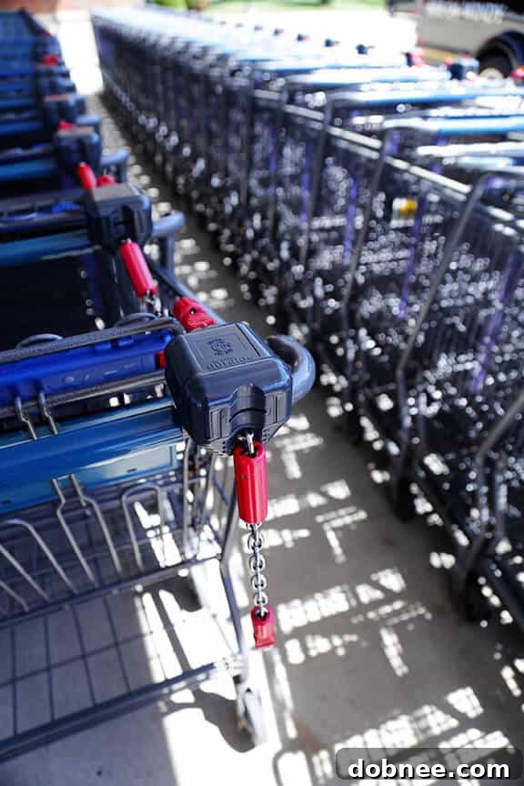 Understanding the ALDI Quarter Cart System for Efficiency | gimmesomeoven.com