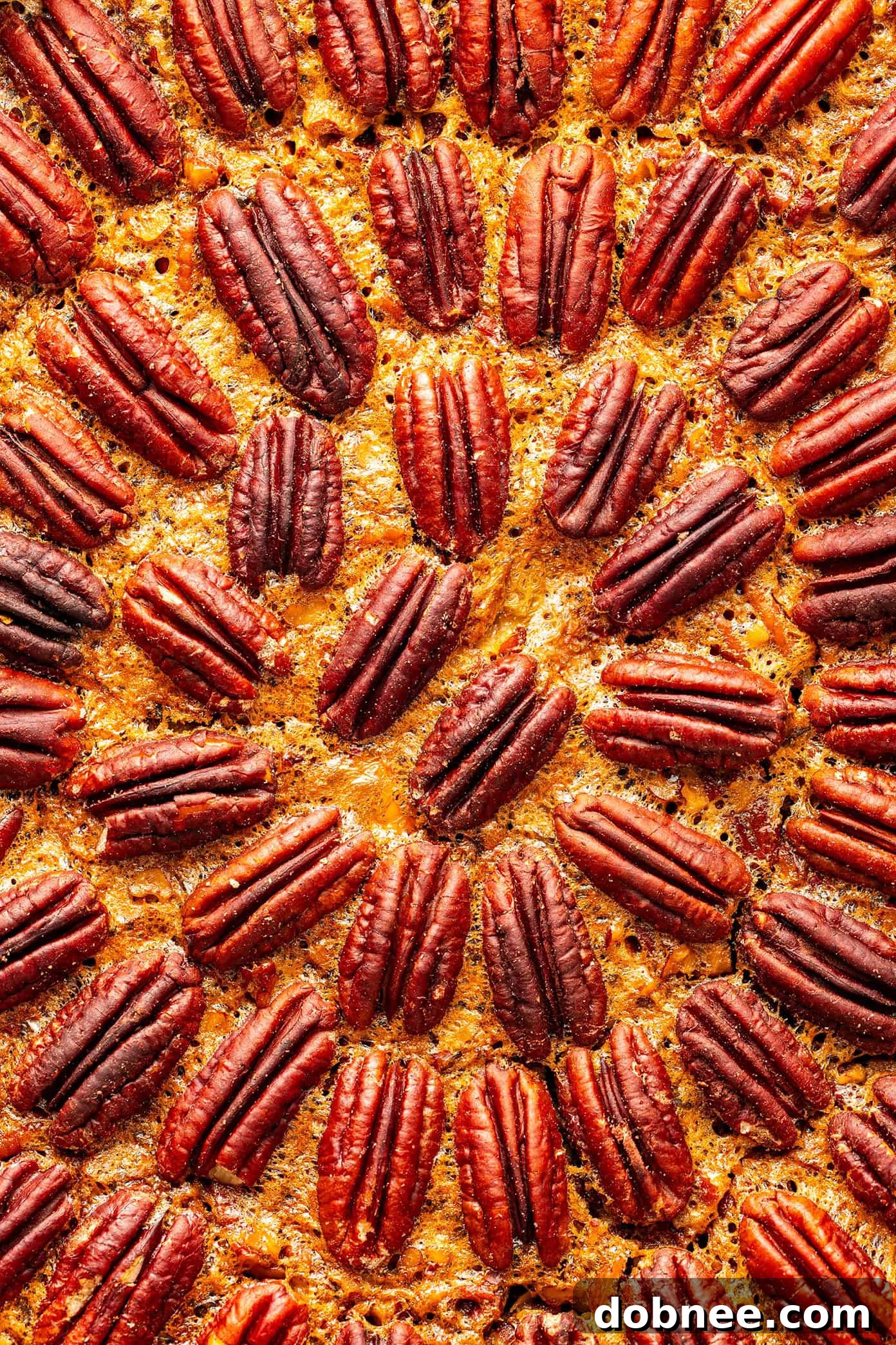 Various sweet pies, including pecan pie, arranged on a table.