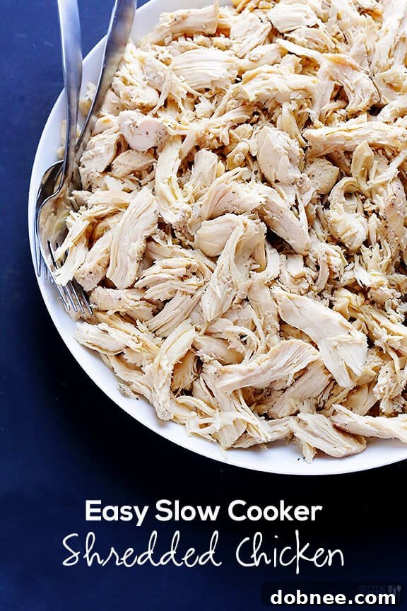 Easy Slow Cooker Shredded Chicken - A final shot of the shredded chicken, ready for use.