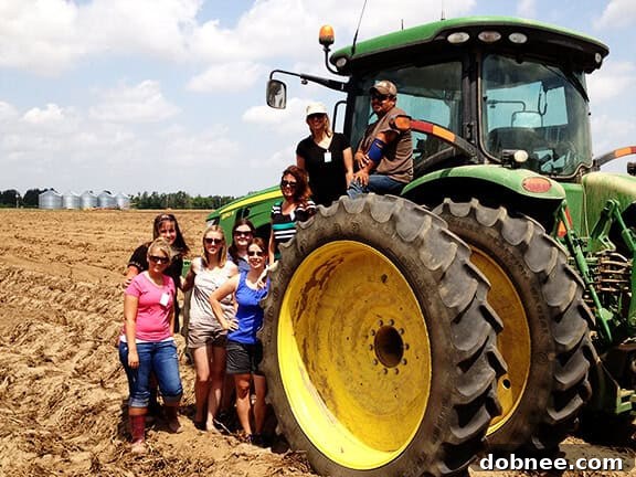 Modern potato harvester at work