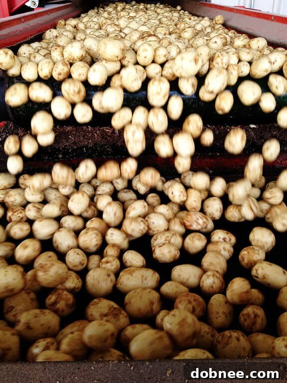 Advanced farm machinery in action