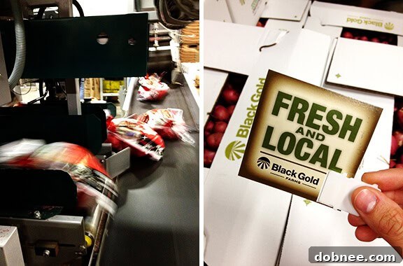 Quality control testing for chipping potatoes