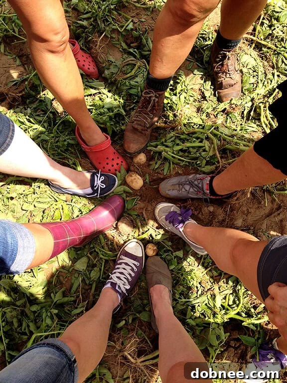 Having fun in the potato fields