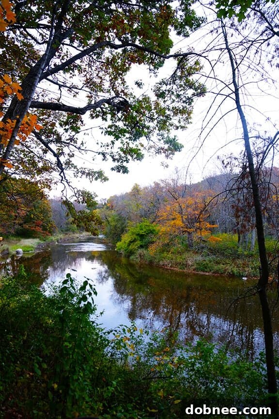 Kohler Food & Wine Experience 2013 | gimmesomeoven.com